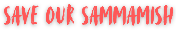 Save Our Sammamish logo in red letters.